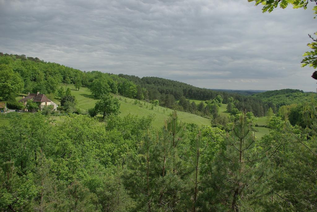 Pechalvet Hotel Fleurac  Cameră foto